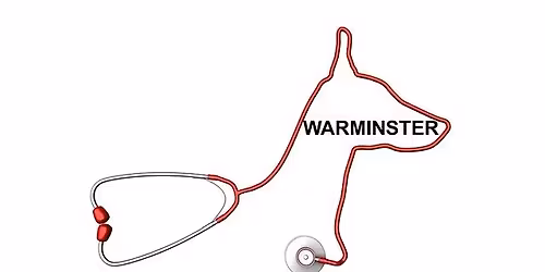 Animal First Aid Course