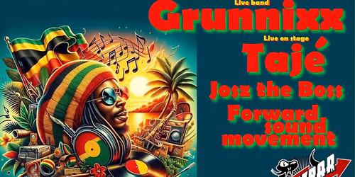 Reggae Night met Grunnixx