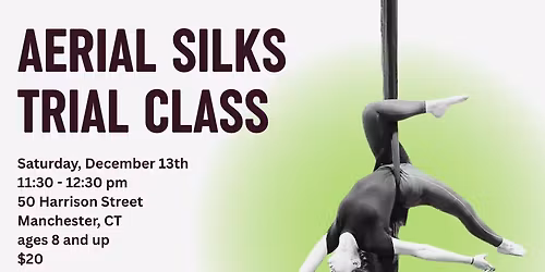 Aerial Silks Trial Class