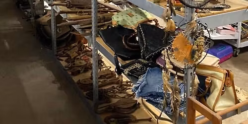 Road Trip to Gainesville