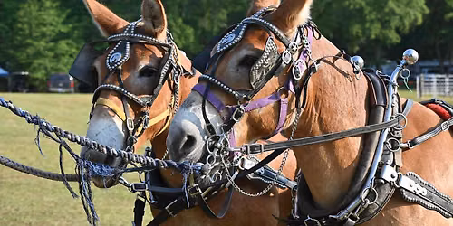 2026 HOKE COUNTY WAGON TRAIN