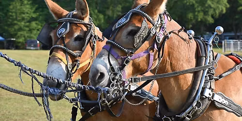 2026 HOKE COUNTY WAGON TRAIN