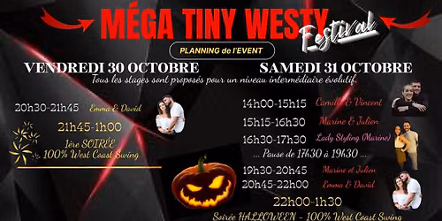 MEGA TINY WESTY FESTIVAL: 6 intervenants, +de 7h de stages, 2 soir\u00e9es