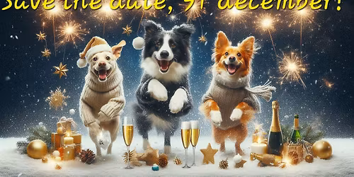 \u2728\ufe0f Tassarnas ny\u00e5rsfest 2025 \u2728\ufe0f