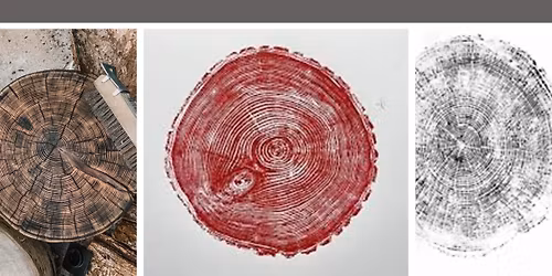 Hand Printing Tree Rings with Sue Fierston