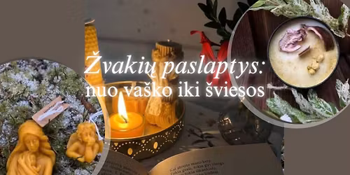 \u017dvaki\u0173 gamybos edukacijos