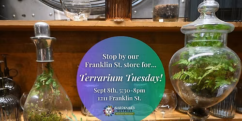 Terrarium Tuesday!