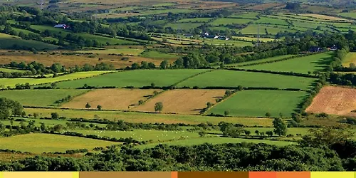 Working Conditions Safety Wellbeing and the Future of Farming in the EU