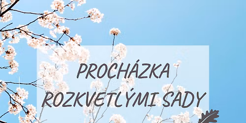 Proch\u00e1zka rozkvetl\u00fdmi sady