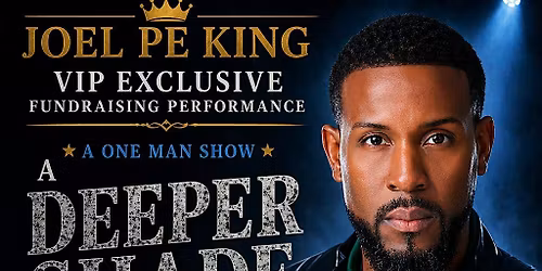 VIP Exclusive Fundraising Performance