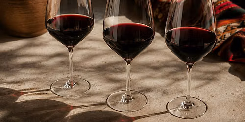 Bolivian Lunch and Wine Tasting