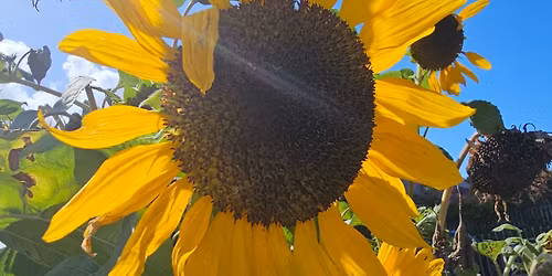 Russell Road Recreational Grounds 