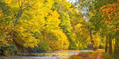 Snyder's Landing C&O Canal Hike