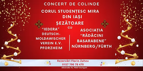 Stuttgart | Concert de colinde | \u0218ez\u0103toare\ud83c\udf84