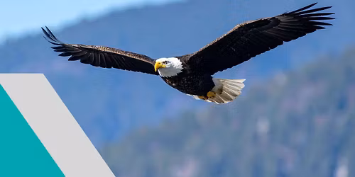 Business Workshop: Ensure you Soar - Stress & Burnout Education