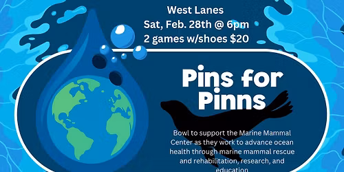 Pins\ud83c\udfb3 for Pinns \ud83e\uddad