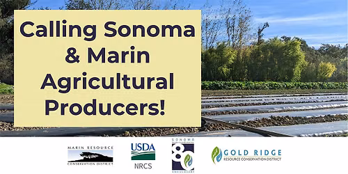 2026 Sonoma-Marin County Local Work Group