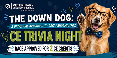CE Trivia Night!
