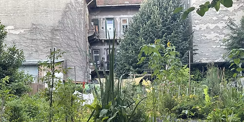 Ny\u00edlt Nap a Kisdi\u00f3fa K\u00f6z\u00f6ss\u00e9gi Kertben