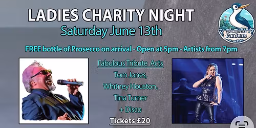 Ladies Charity Night - Tom Jones, Whitney Houston & Tina Turner Tributes plus a DJ
