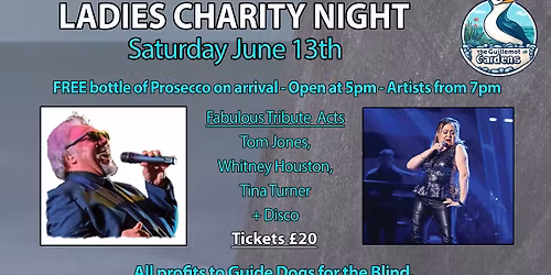 Ladies Charity Night - Tom Jones, Whitney Houston & Tina Turner Tributes plus a DJ