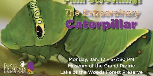 Film Screening: The Extraordinary Caterpillar