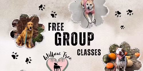 Join Us for Free Group Classes!
