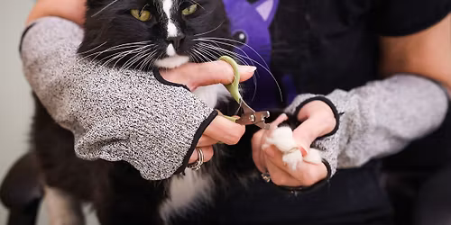 Lakeville - Feline Rescue Cat Claw Clipping Clinic