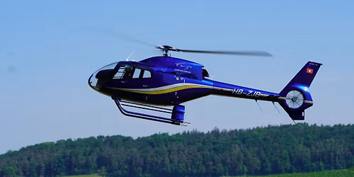 Fr\u00f6hlich-Freies-Fr\u00fchlings-Flattern