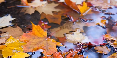 Dialogues in Youth Studies. Theories, Methodologies, Ethics.