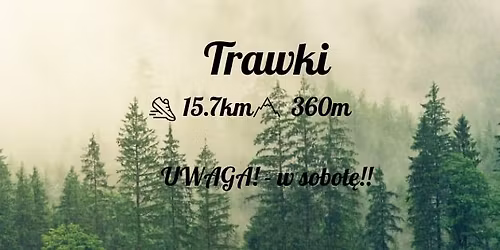 Tawki - Le\u015bna RUNda w sobot\u0119