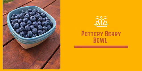 Pottery Berry Bowl