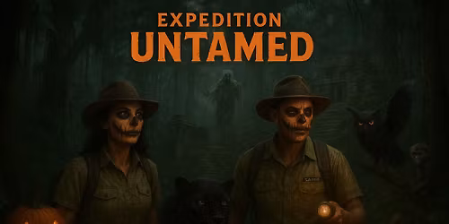 The Haunted Rainforest