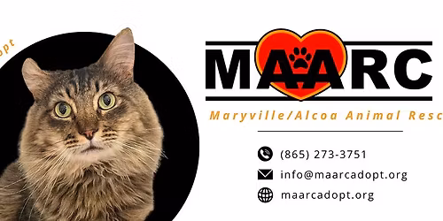 6th Annual MAARC Masquerade Ball and Silent Auction