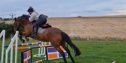 Unaffiliated Show Jumping Competition