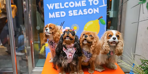 CAVALIER CAFE - YORK