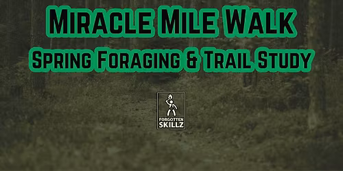 Hedges Creek Miracle Mile Foraging & Trail Study Walk (East Patchogue)