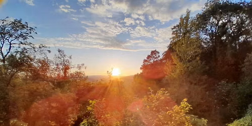 Plant Spirit Medicine intro morning