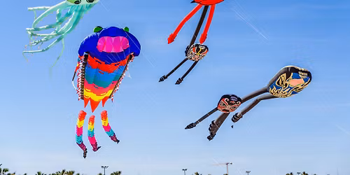 3rd Annual Hudson Valley Kite Fest