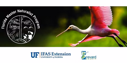 Brevard Environmental Interpretation Course: Florida Master Naturalist Program