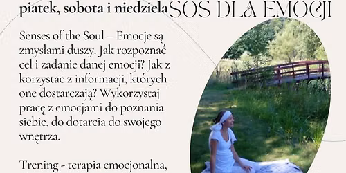 Emocje jako zmys\u0142y Duszy - terapia\/ trening emocjonalny - kameralna grupa