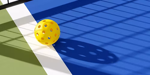 Pickleball Slam 4
