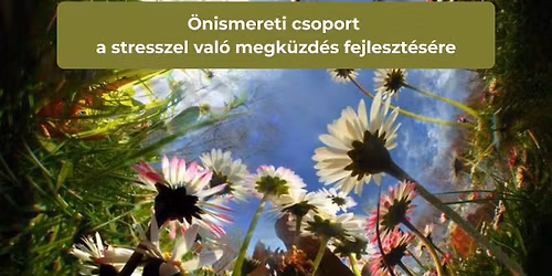 \u00d6nismereti csoport a stresszel val\u00f3 megk\u00fczd\u00e9s fejleszt\u00e9s\u00e9re - 2 hetente h\u00e9tf\u0151nk\u00e9nt 16h-21h