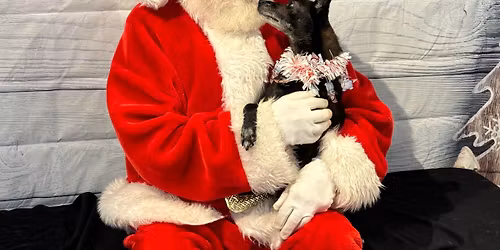 Stark County Humane Society Pet Photos with Santa
