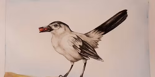 Winter Birds Watercolor Class