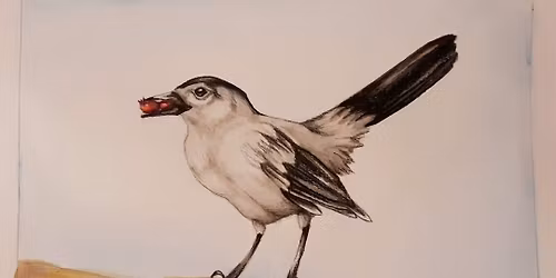 **FULL** Winter Birds Watercolor Class