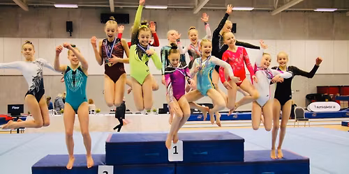 A\u00f0alfundur - A\u00f0alstj\u00f3rn Fimleikaf\u00e9lagsins Bj\u00f6rk