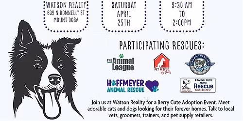 Paws & Blueberries Pet Adoption Event \u2013 Mount Dora