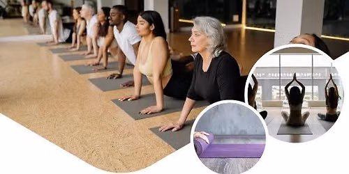 Free yoga session in honor of 12th International Yoga Day