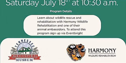 Strategic Saturday: Wildlife Rescue & Rehabilitation
